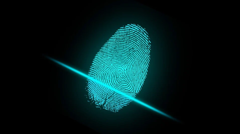 The state of the payment industry: the future of payment cards is biometric