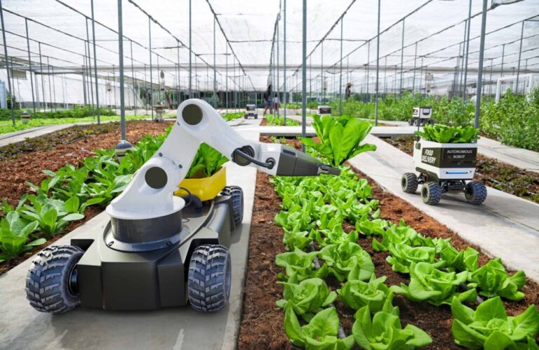 Agritech start-ups must dig deeper to find the right people