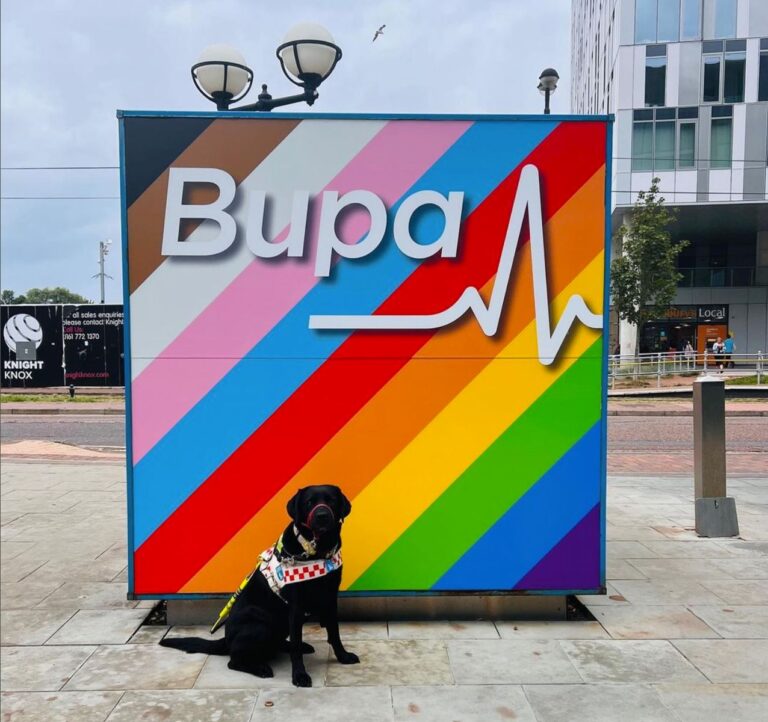 Bupa improves digital accessibility for its 45m customers